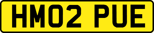 HM02PUE