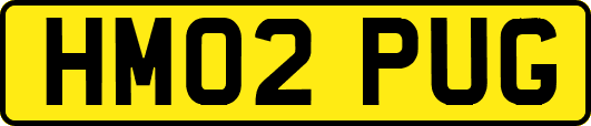 HM02PUG