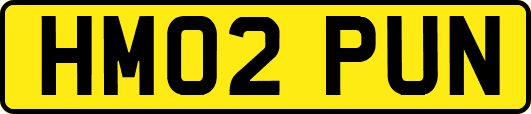 HM02PUN