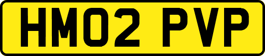 HM02PVP