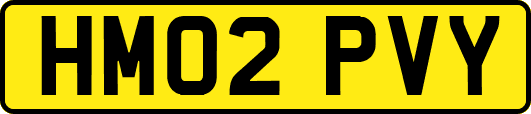 HM02PVY