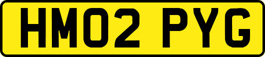 HM02PYG