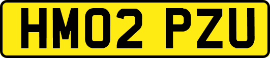 HM02PZU