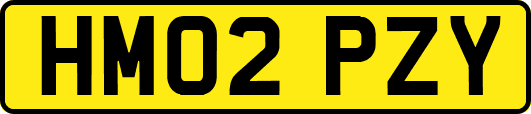 HM02PZY