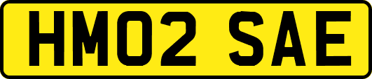 HM02SAE