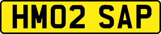 HM02SAP