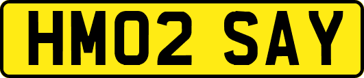 HM02SAY