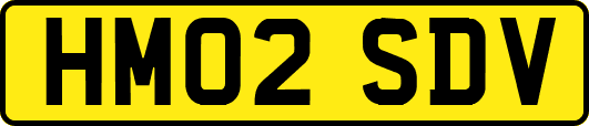 HM02SDV