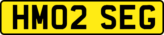 HM02SEG