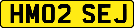 HM02SEJ