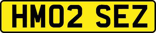HM02SEZ