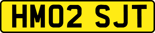 HM02SJT
