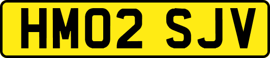 HM02SJV