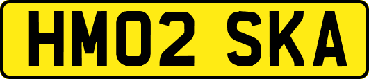HM02SKA