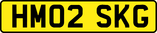 HM02SKG