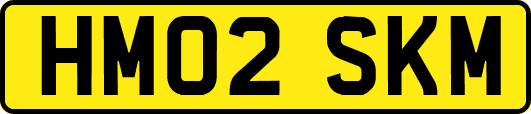 HM02SKM