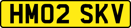 HM02SKV