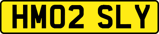 HM02SLY