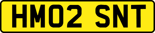 HM02SNT
