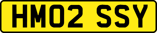 HM02SSY