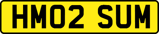 HM02SUM
