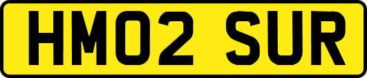 HM02SUR