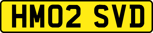 HM02SVD