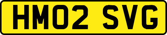 HM02SVG