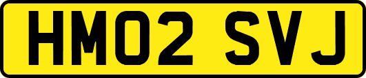 HM02SVJ