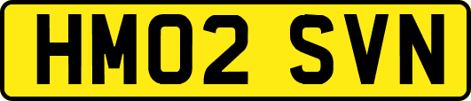HM02SVN