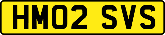 HM02SVS