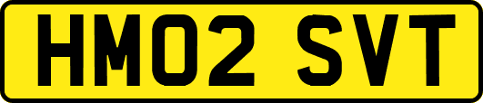 HM02SVT