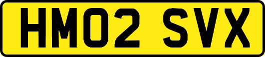 HM02SVX