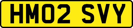 HM02SVY