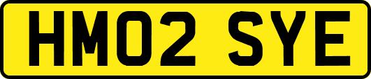 HM02SYE