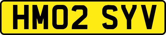 HM02SYV