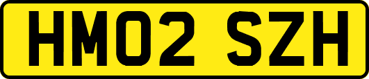 HM02SZH