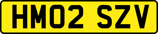 HM02SZV