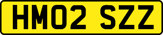 HM02SZZ