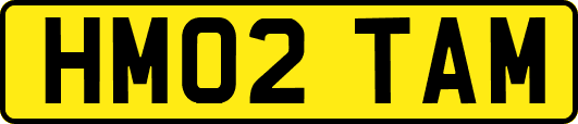 HM02TAM