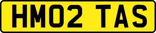 HM02TAS