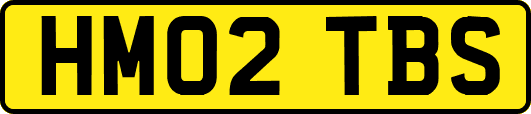 HM02TBS
