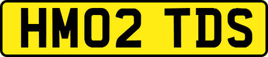 HM02TDS