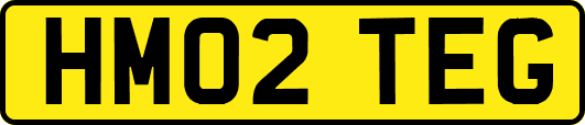 HM02TEG