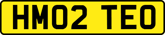 HM02TEO