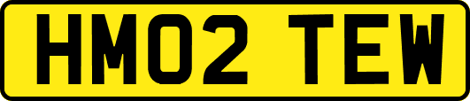 HM02TEW