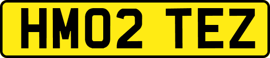 HM02TEZ