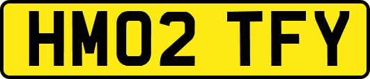 HM02TFY