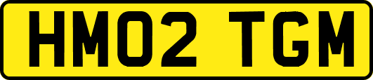 HM02TGM