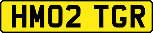 HM02TGR